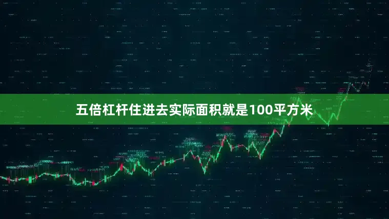 五倍杠杆住进去实际面积就是100平方米