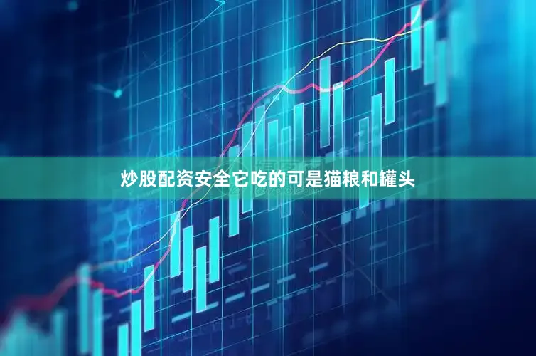 炒股配资安全它吃的可是猫粮和罐头
