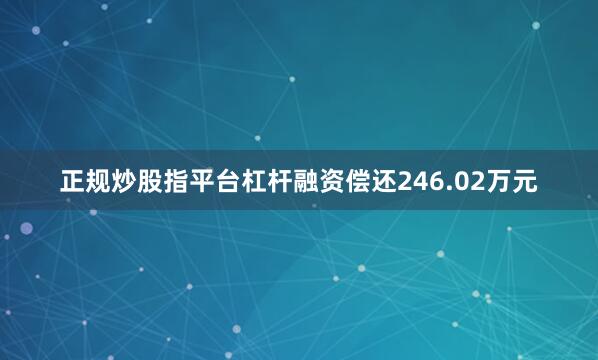 正规炒股指平台杠杆融资偿还246.02万元